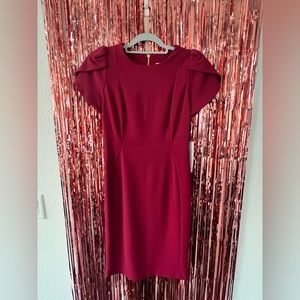 NWT Calvin Klein Deep Red Dress